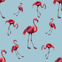 Obraz premium Watercolor seamless pattern with flamingo. Hand drawing decorative background. Hand drawn watercolor illustration. Print for textile, cloth, wallpaper, scrapbooking