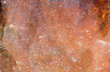 Texture of old iron sheet photo