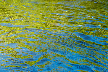Abstract colorful background from ripples on water surface