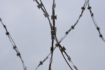 Barbed wire on gray sky background. Close-up