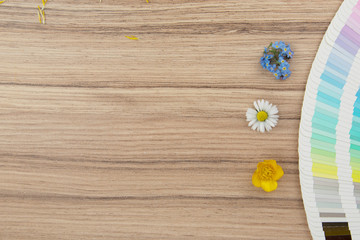 Color card range on wooden desk with different fresh flowers