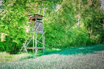 The hunter's booth on the left side within a green landscape with trees and a field