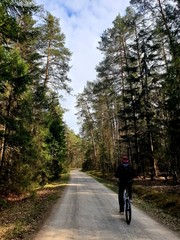 Obraz premium cycling in the woods