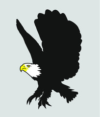 College eagle print and embroidery graphic design vector art