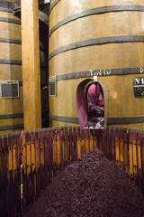 bodegas