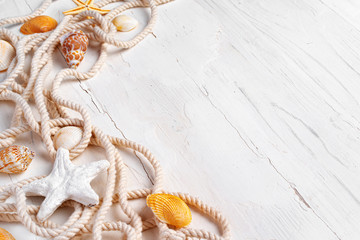 Fototapeta na wymiar Sea shells with rope on white wooden background, copy space. Summer vacation concept