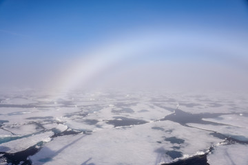 Arctic landscape - sea surface with ice floe and fog bog