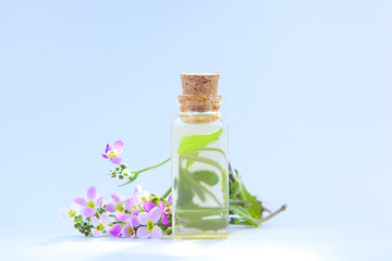 Obraz premium Essential oil of Arabis flower on a White background in beautiful bottle