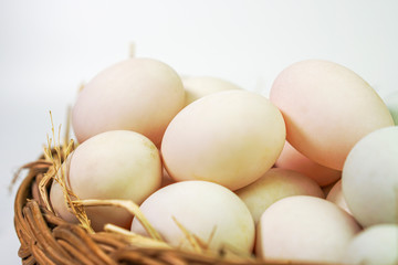 Photos of duck eggs.