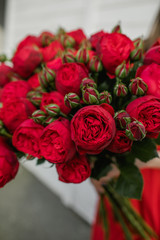 stylish bouquet of brightly scarlet ranunculus