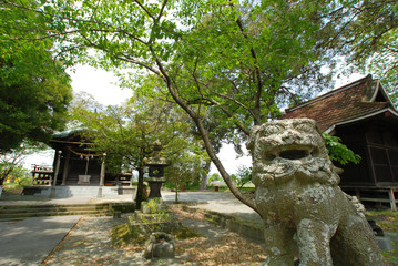 新緑の中の神社の境内
