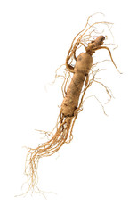 ginseng isolated on white background