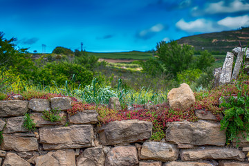 stone wall as a natural field background
