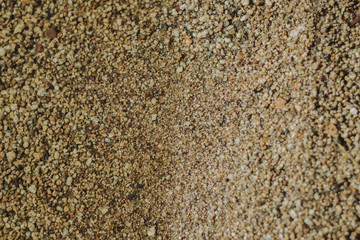 texture of sand on the beach