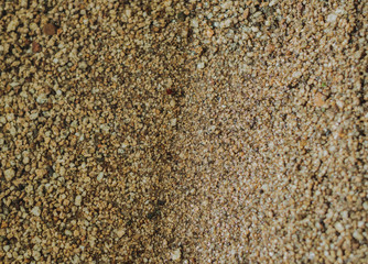 texture of sand on the beach