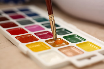 Brush point in watercolor paint closeup