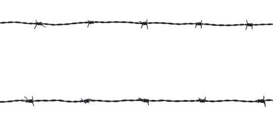 Barb wire fence isolated on white background