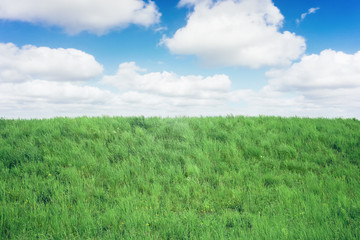 Fototapeta na wymiar Green grass on hill with blue sky and clouds background