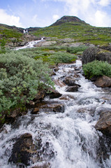 Torrent en Hardangervidda