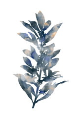 Hand painted laurel branch isolated on a white background. Decorative image for creative design of cards, invitations, banners, websites, posters, etc. Beautiful watercolour artwork. Mixed colours.