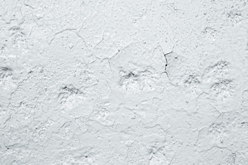 gray background of the old wall painted with oil paint, cracked from old age, texture, template for text