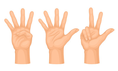 Hands Making Different Gestures and Signs Isolated on White Background Vector Set