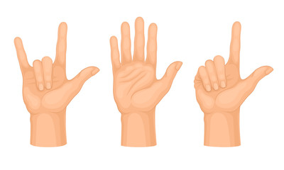 Hands Making Different Gestures and Signs Isolated on White Background Vector Set