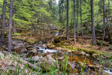 Wanderung zu den Rißloch Wasserfälle bei Bodenmais | Naturerlebnis Bayerischer Wald