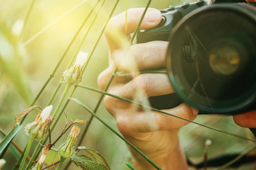 Person hand holding a professional camera to take macro photos of a snail, in nature. Snail is reflected in the lens glass.