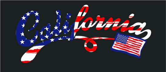 American flag california graphic design vector art