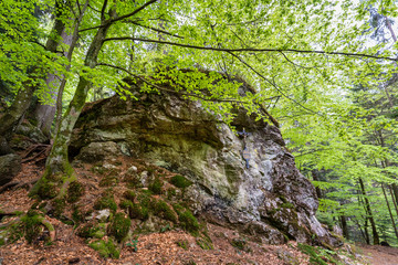Wandern im Bayerischen Wald bei Bodenmais | Rißloch Urlaub