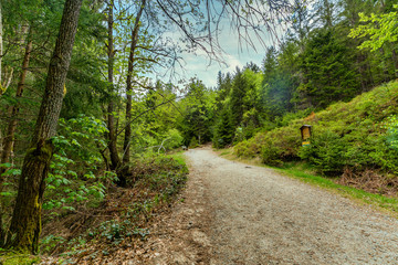 Wandern, Wanderwege im Bayerischen Wald bei Bodenmais | Rißloch Urlaub
