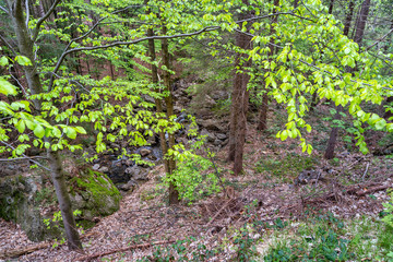 Wanderung zu den Ri&szlig;loch Wasserf&auml;lle bei Bodenmais | Naturerlebnis Bayerischer Wald