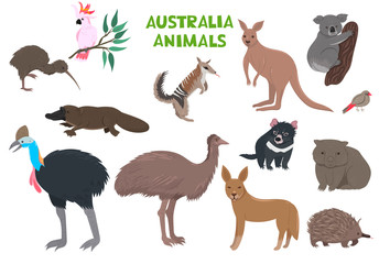 Set of Australia animals isolated on a white background. Vector graphics.