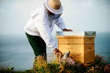 Zelfklevend Fotobehang Imker die zijn bijen in bijenhuis controleert. Imker met frame van honingraat met werkende bijen. © ESH