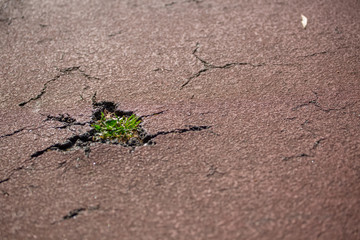Detailed view of a hole and cracks on the asphalt road pavement