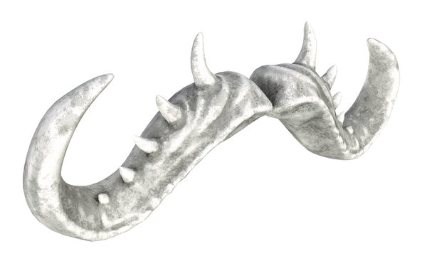 Horns for a bull, horns of a monster on a white background 3d render