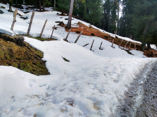 winter landscape with snow