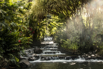 Nature in its purest form. Great vegetation near the jungle, a multitude of plants and trees that connect creating a great landscape. Caribbean spa. Costa Rica high lights.