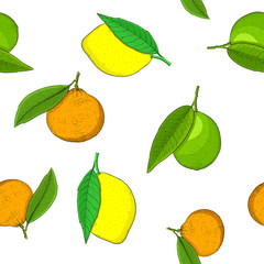 Citrus fruits - orange, lime, lemon tangrine. Seamless pattern