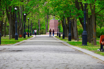 Walk in the spring city park. in the background are two people. trees in green foliage.