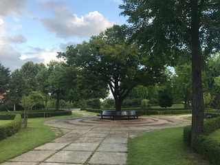 benches and big trees in the park