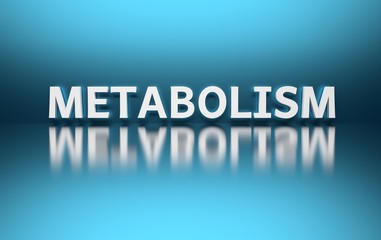White bold word Metabolism on blue shiny reflective background. 3d illustration.