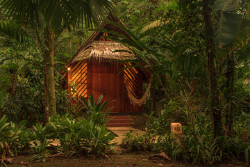 Cabin in the middle of the jungle. Tranquility and relaxation for a luxury vacation in the midst of wild nature.