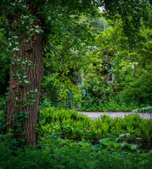 Little house with tiny mailbox hidden in the woods