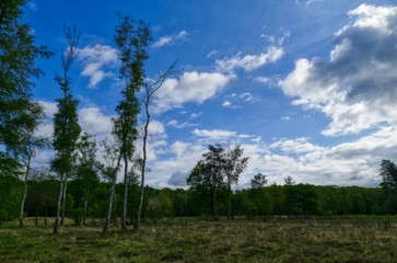 Heidelandschaft im Frühling in Solingen Ohligs