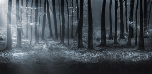 Panoramic Woodland Illustration in black and white