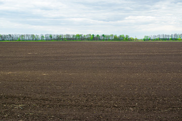 Fototapeta na wymiar Plowed sown agricultural field with black fertile soil. Spring landscape with agricultural plantation land.