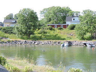 ducks on the lake, Suomenlinna, Finland
