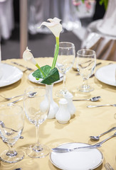  Tulips on the table